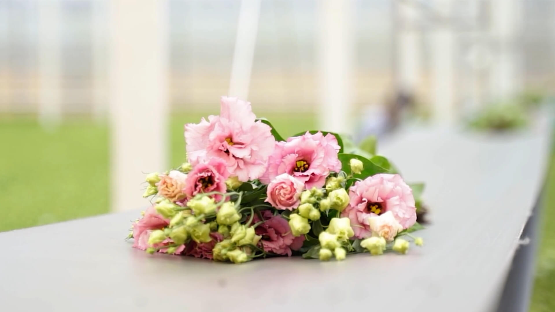 Decorum Company - Assortiment - Compilation Video